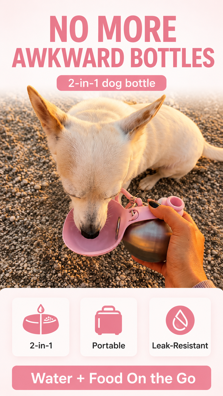 2-in-1 Water Bottle for Pets