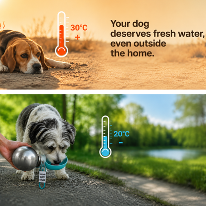 2-in-1 Water Bottle for Pets